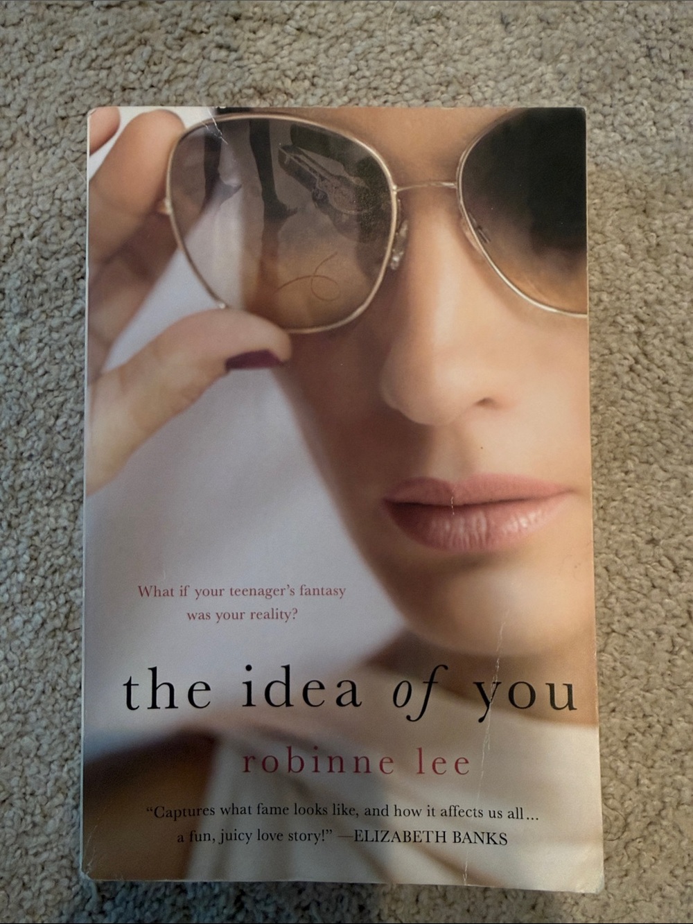 The Idea of You by Robinne Lee - Paperback Novel - White & Pink Cover